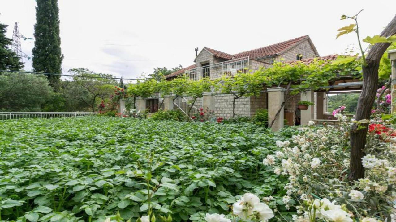 Apartment Klepo Dubrovnik Eksteriør bilde